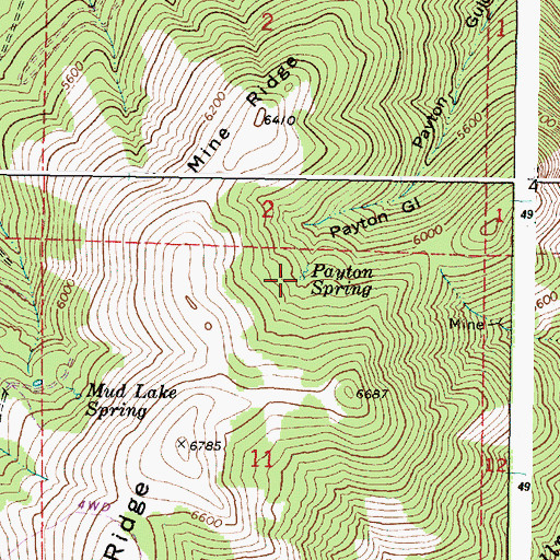 Topographic Map of Payton Spring, OR