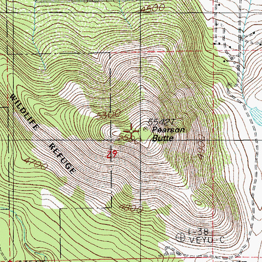 Topographic Map of Pearson Butte, OR