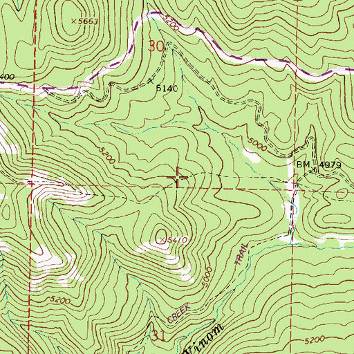 Topographic Map of Pearson Trail, OR