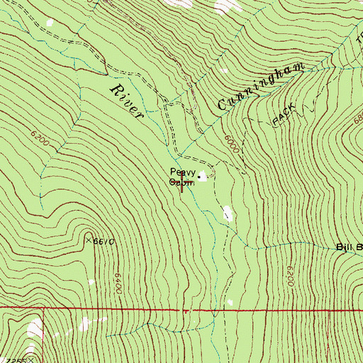 Topographic Map of Peavy Cabin, OR