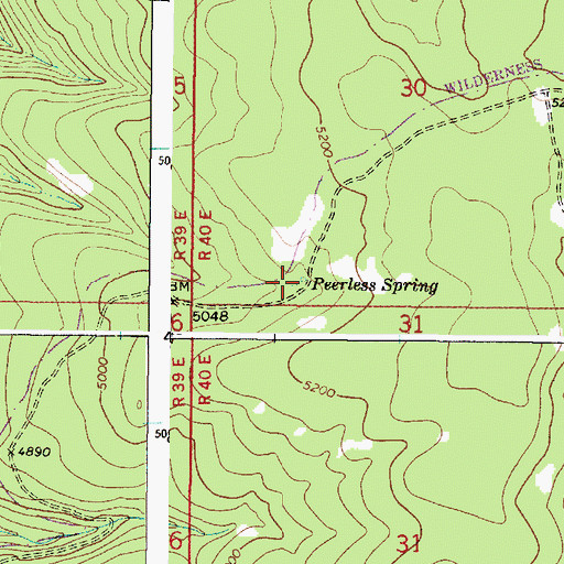 Topographic Map of Peerless Spring, OR
