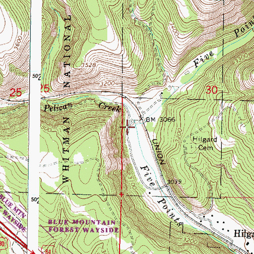 Topographic Map of Pelican Creek, OR