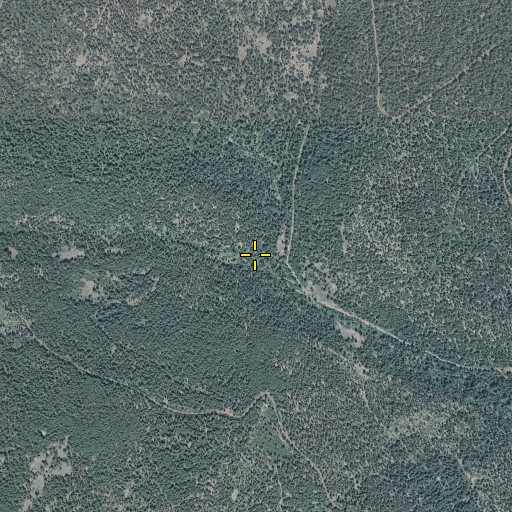 Aerial/Satellite Image of Penn Creek, OR