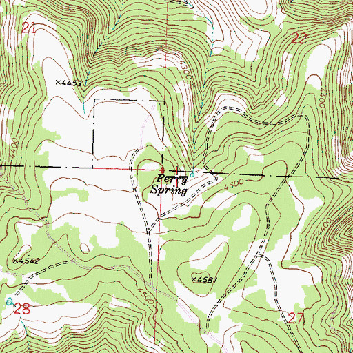 Topographic Map of Perry Spring, OR
