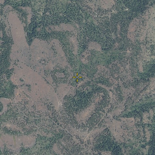 Aerial/Satellite Image of Perry Spring, OR