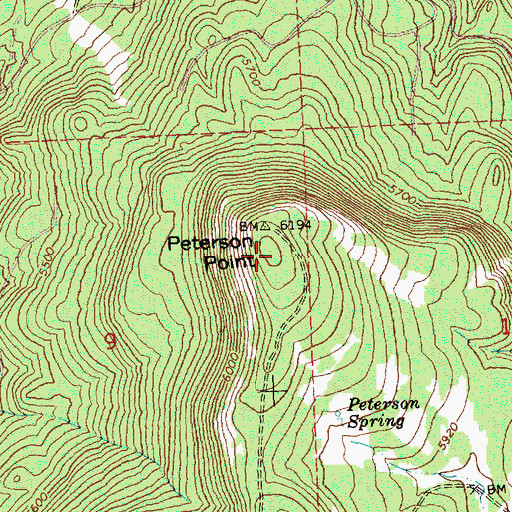 Topographic Map of Peterson Point, OR