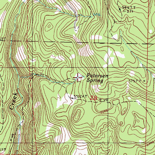 Topographic Map of Petersen Spring, OR