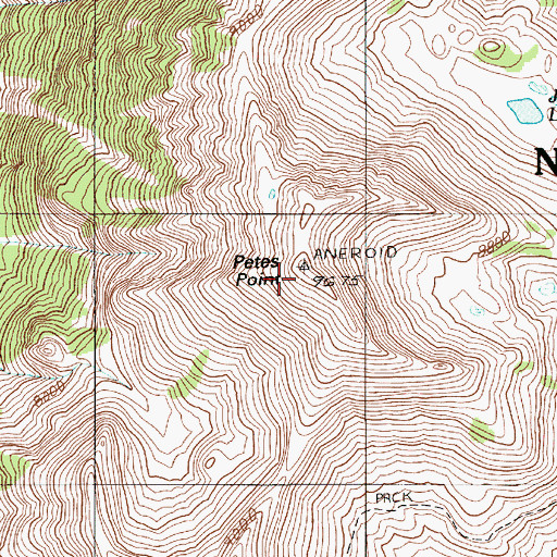Topographic Map of Petes Point, OR