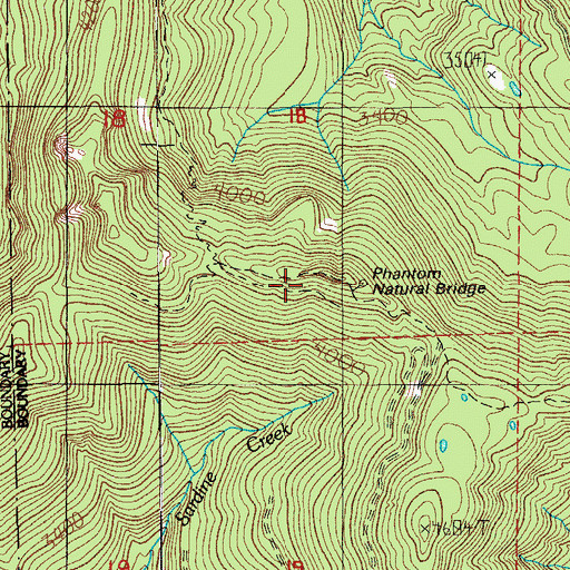 Topographic Map of Phantom Natural Bridge, OR