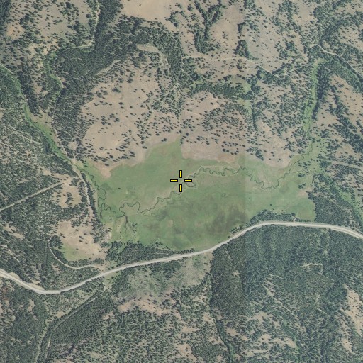 Aerial/Satellite Image of Phipps Meadow, OR