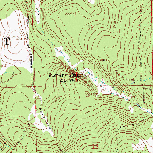 Topographic Map of Picture Tree Springs, OR