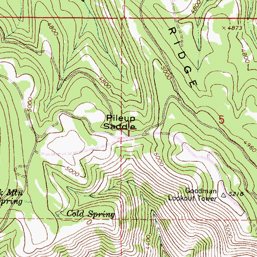 Topographic Map of Pileup Saddle, OR