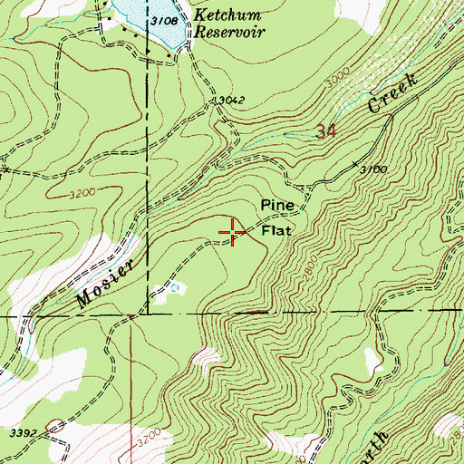 Topographic Map of Pine Flat, OR
