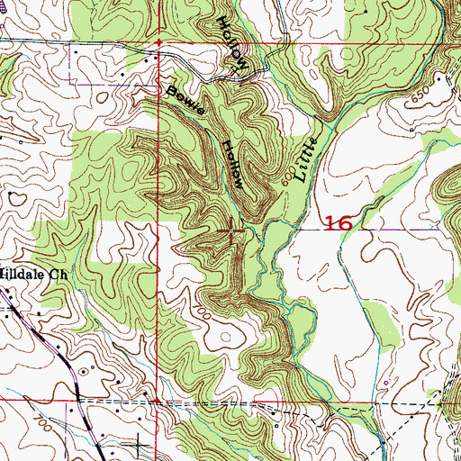 Topographic Map of Bowie Hollow, AL