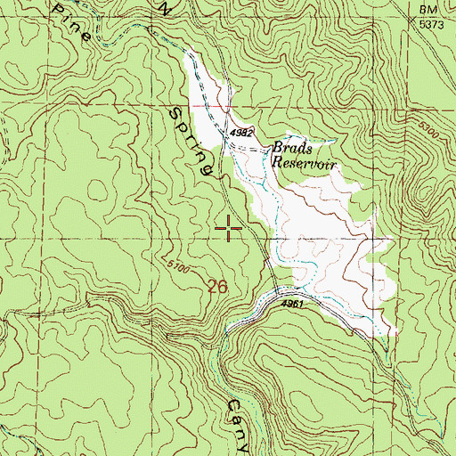 Topographic Map of Pine Spring Basin, OR