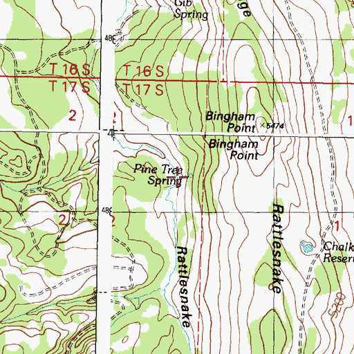 Topographic Map of Pine Tree Spring, OR