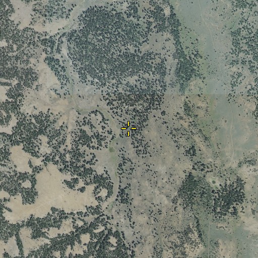 Aerial/Satellite Image of Pine Tree Spring, OR