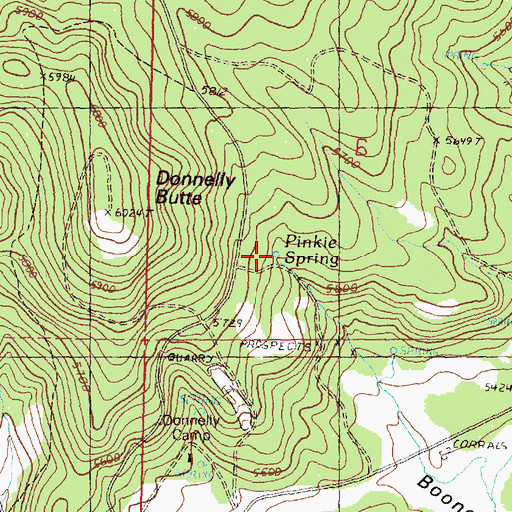 Topographic Map of Pinkie Spring, OR