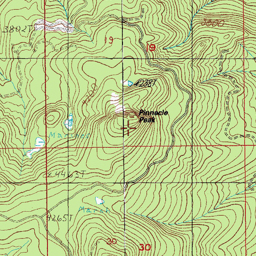 Topographic Map of Pinnacle Peak, OR