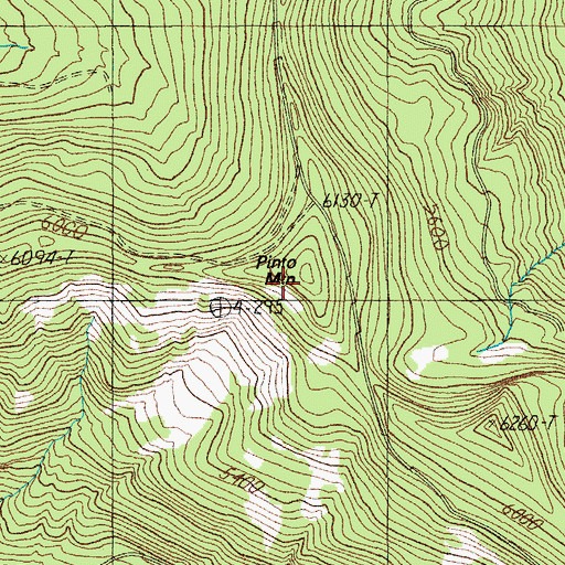 Topographic Map of Pinto Mountain, OR