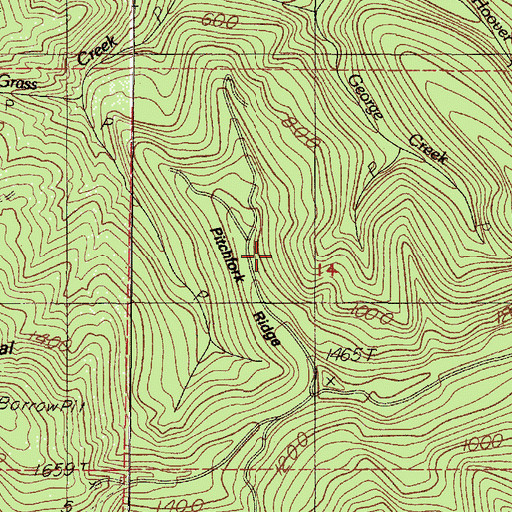 Topographic Map of Pitchfork Ridge, OR
