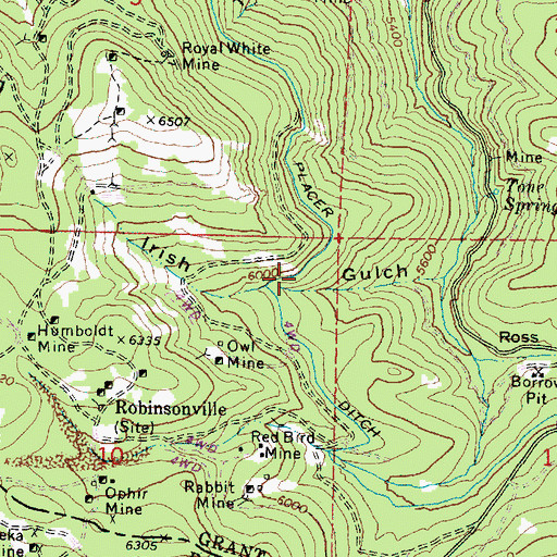Topographic Map of Placer Ditch, OR