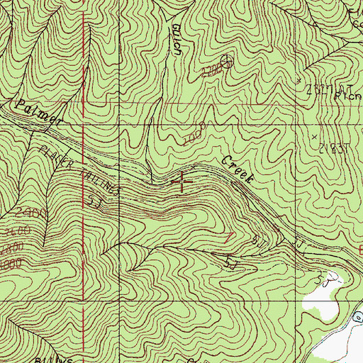 Topographic Map of Placer Mine, OR