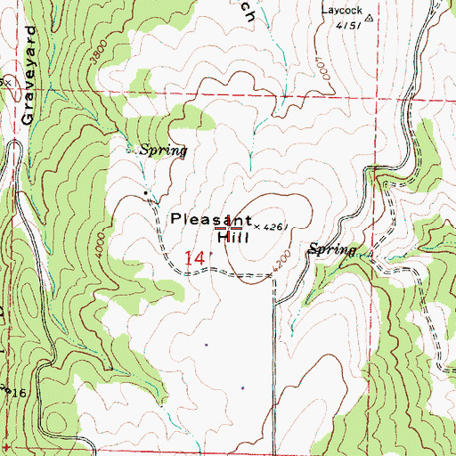 Topographic Map of Pleasant Hill, OR
