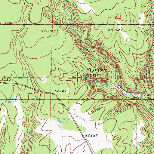 Topographic Map of Plumber Spring, OR