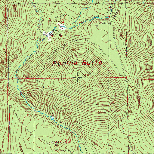 Topographic Map of Ponina Butte, OR