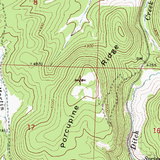 Topographic Map of Porcupine Ridge, OR