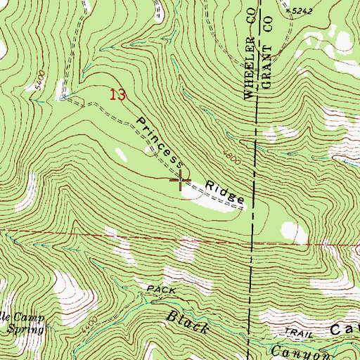 Topographic Map of Princess Ridge, OR