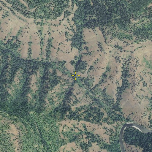 Aerial/Satellite Image of Proctor Creek, OR