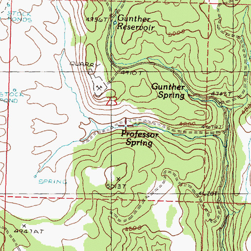 Topographic Map of Professor Spring, OR