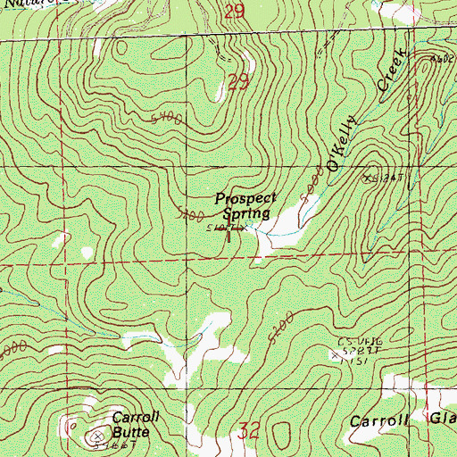 Topographic Map of Prospect Spring, OR