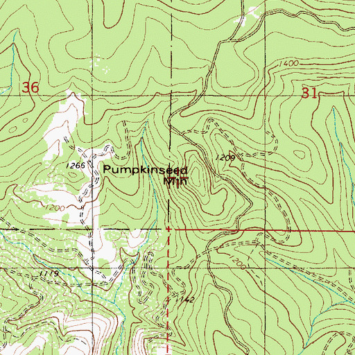 Topographic Map of Pumpkinseed Mountain, OR