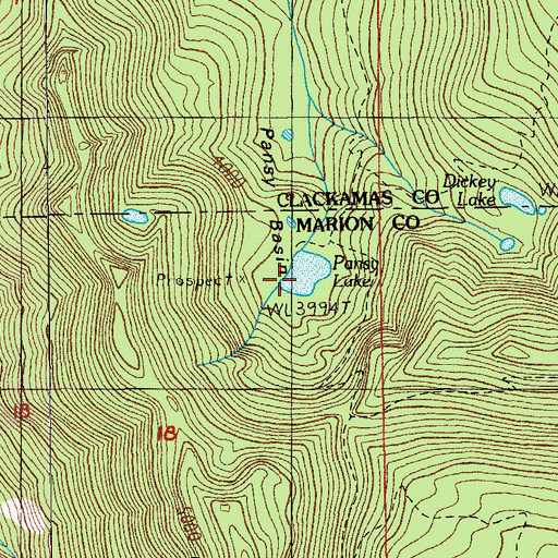 Topographic Map of Pansy Lake, OR