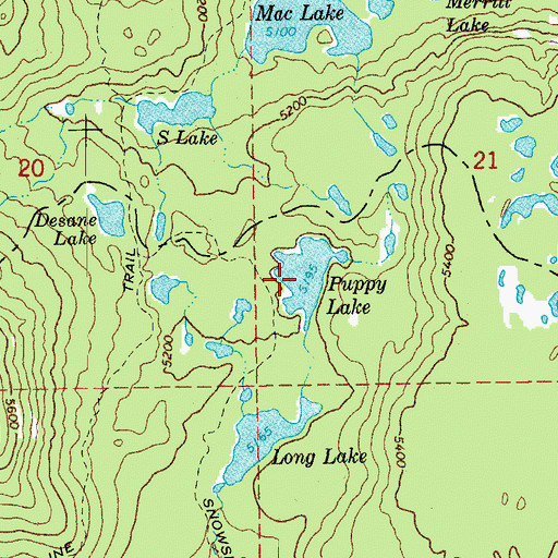 Topographic Map of Puppy Lake, OR