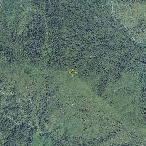 Aerial/Satellite Image of Purple Mountain, OR
