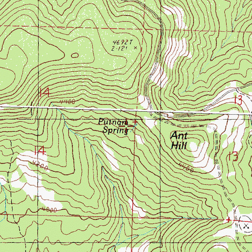 Topographic Map of Putnam Spring, OR