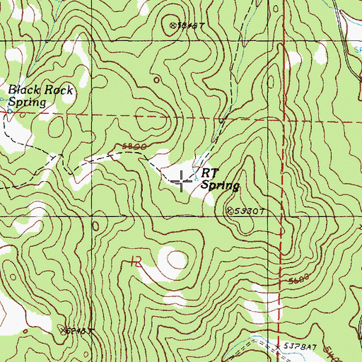 Topographic Map of R T Spring, OR