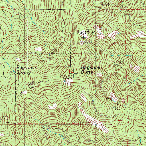 Topographic Map of Ragsdale Butte, OR