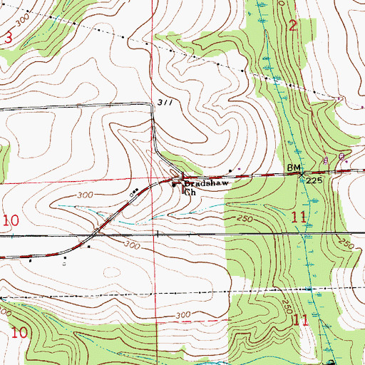Topographic Map of Bradshaw Church, AL