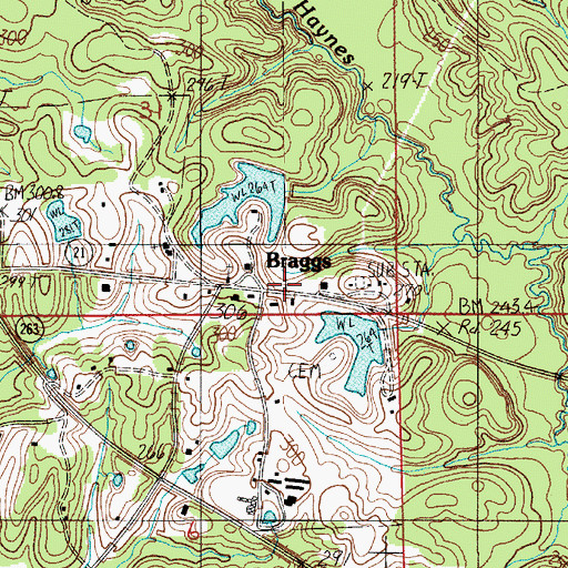 Topographic Map of Braggs, AL