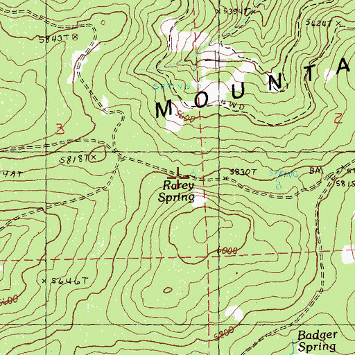 Topographic Map of Rarey Spring, OR