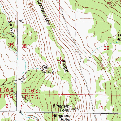 Topographic Map of Rattlesnake Ridge, OR