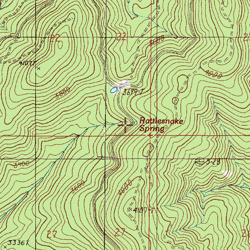 Topographic Map of Rattlesnake Spring, OR
