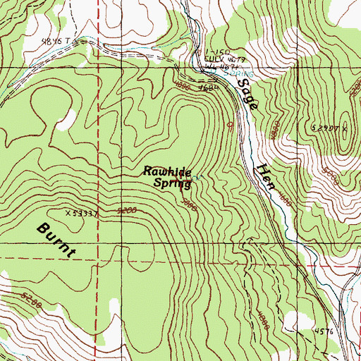 Topographic Map of Rawhide Spring, OR