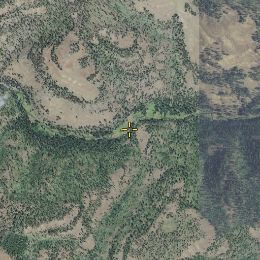 Aerial/Satellite Image of Ray Creek, OR