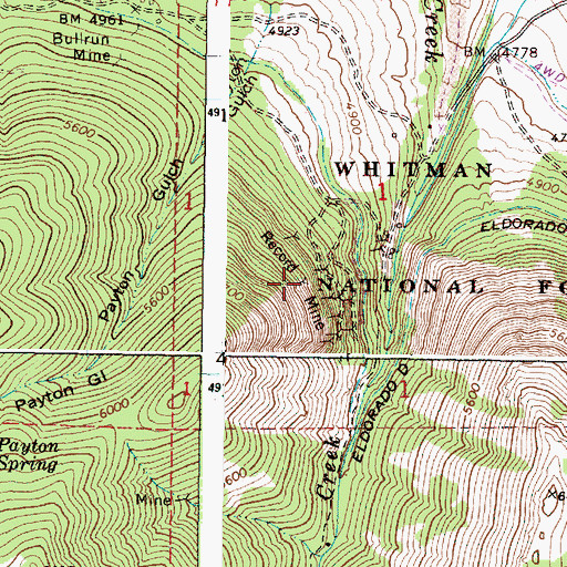 Topographic Map of Record Mine, OR